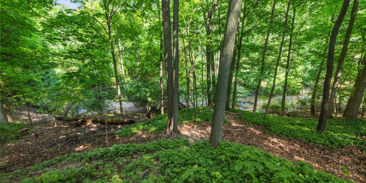 Franklin Ravine